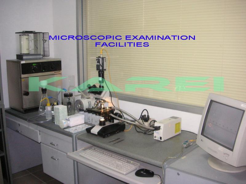 MICROSCOPIC EXAMINATION SYSTEM